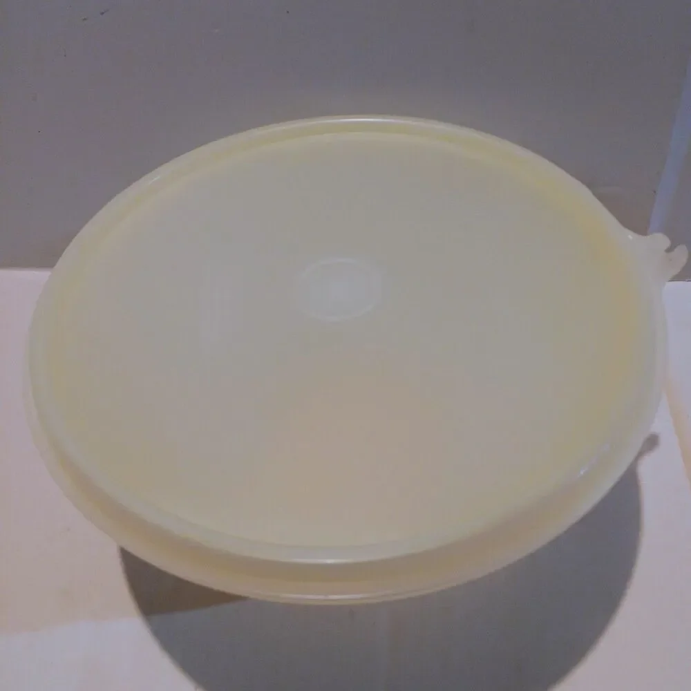 Tupperware brand model